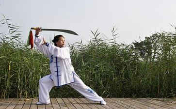 打太极活动方案6篇