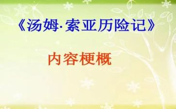 汤姆索亚历险记读后感600字通用7篇