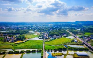 特岗教师述职个人述职报告7篇