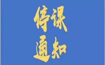 停课不停学教师心得体会6篇