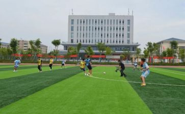 小学体卫生工作计划推荐7篇