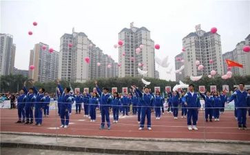 体艺卫工作总结6篇