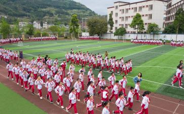 小学体育活动节活动总结5篇