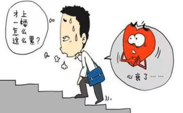 统计的工作总结和工作计划5篇