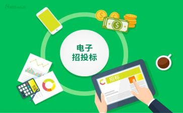 2024年投标工作总结5篇