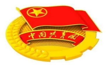 分团委工作总结模板7篇