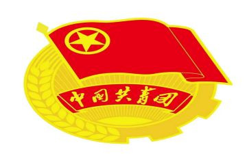 基层团支书述职报告6篇