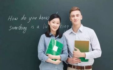 户外教案反思7篇