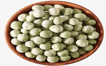 豌豆的读后感5篇