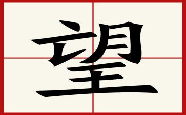 作文希望800字6篇