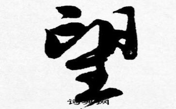 新年愿望的作文8篇
