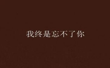 我忘不了他(她)的作文模板6篇