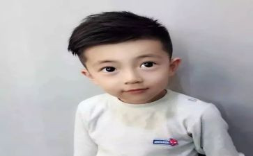 《骆驼王子》读后感通用7篇