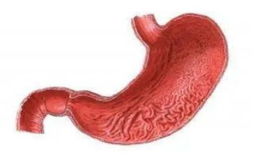 保护胃教案优秀7篇