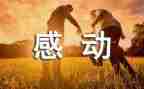 母亲让我感动作文6篇