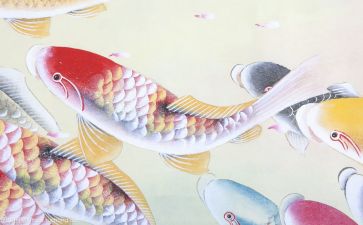 燃文化的作文6篇