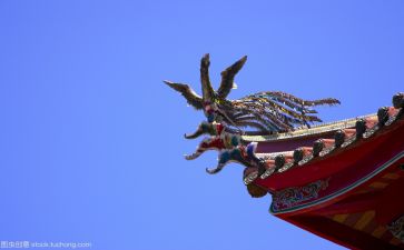 燃文化的作文推荐5篇