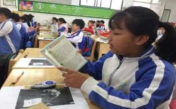听小学语文课听课心得6篇