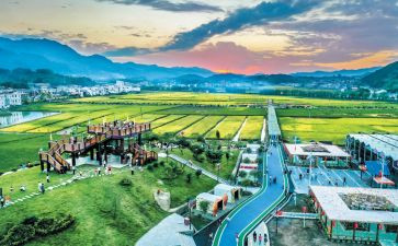 市文旅局工作总结6篇