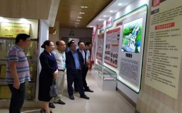 小学藏语文培训心得体会最新7篇