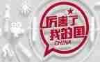 我和我的国读后感6篇