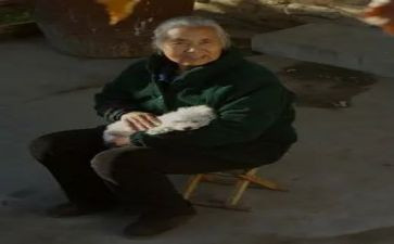我的奶奶作文600字8篇