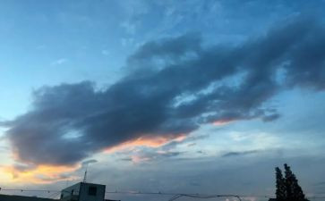 2023我的一天作文8篇