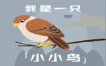 树和小鸟作文优质7篇