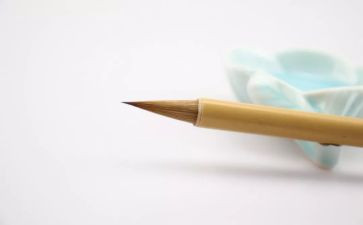 我想变成鸡的作文推荐7篇