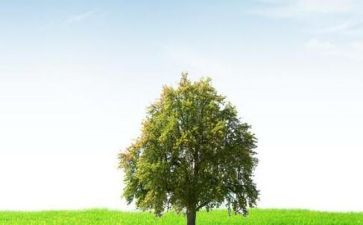 我在变500字作文7篇