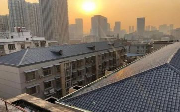 我想握住你的手的作文7篇
