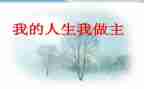 我的()我做主作文精选8篇
