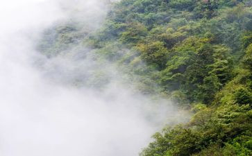 科学雾蒙蒙教案5篇