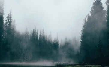 雾语言教案优质8篇