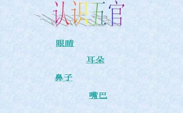 2024五官科工作总结8篇