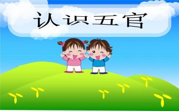 五官幼儿园教案5篇