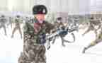 武警留士官述职报告5篇