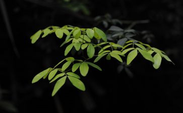 《无聊》作文参考6篇