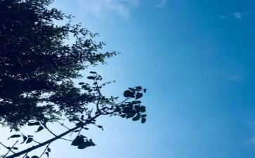 有关无聊的作文8篇