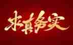 电子政务实训心得体会7篇