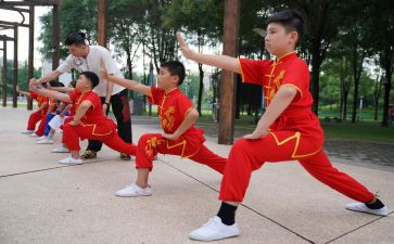 武术活动方案8篇