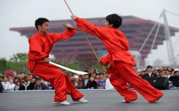 武术作文300字8篇