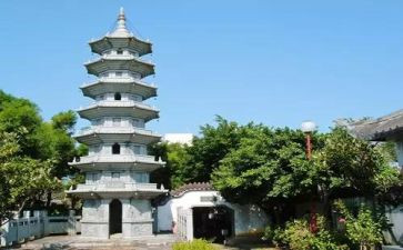 关于《乌塔》的读后感7篇
