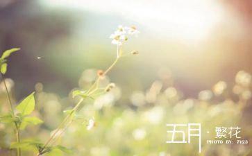 2024年小班五月份工作总结8篇