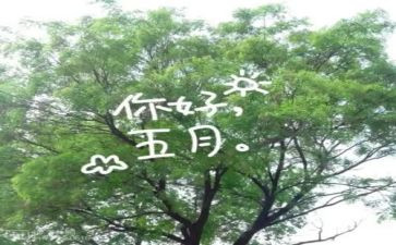 中班五月工作总结6篇