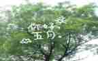 中班五月工作总结6篇
