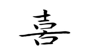 我喜欢动物的作文300字6篇