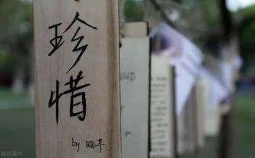 我珍惜友谊作文优质7篇