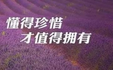 关于珍惜友谊的作文5篇