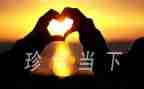 珍惜友谊作文600字8篇